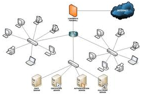 Network Develpment